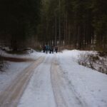 forest trekking in himachal forest