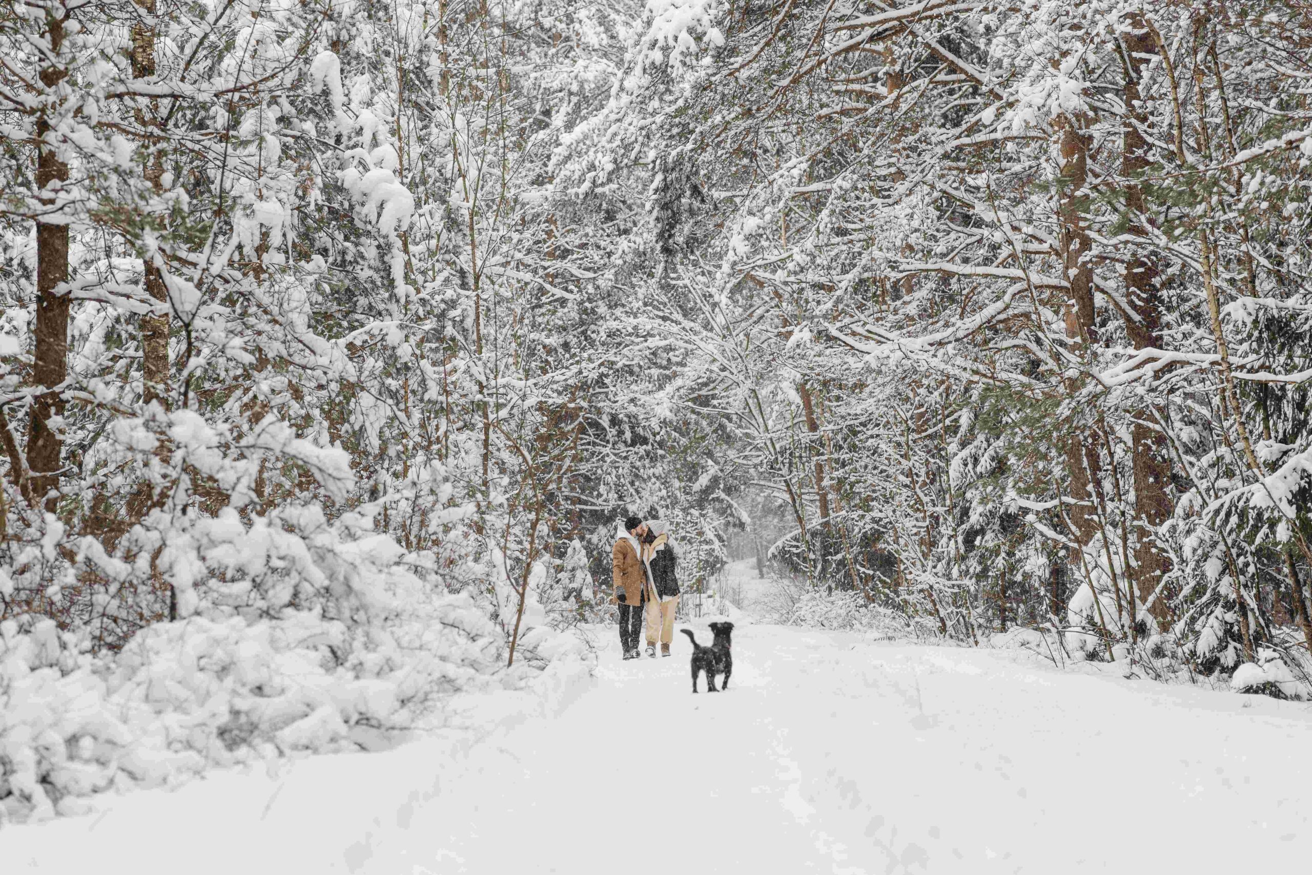 Snow Trekking in Manali